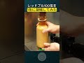 レッドブル100缶を