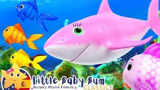 Baby Shark Song | Canción de Bebé Tiburón | Canciones Infantiles | Little Baby Bum en Español