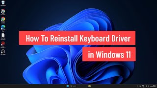 How To Reinstall Keyboard Driver in Windows 11 (2025)