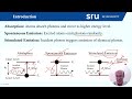 Einstein Coefficients for LASER Process Explained Simply