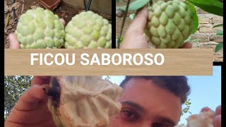 Videos de sexo brasileiro amador Mulher gostosa peitudas