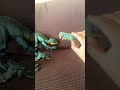 Indoraptor and  scorpius rex vs blue