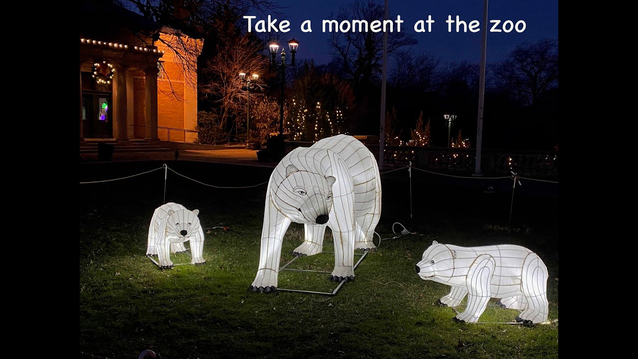 Relaxing Bronx Zoo Holiday Lights Show 2020