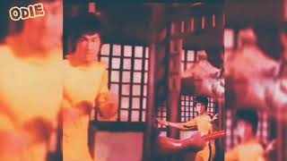 Bruce Lee Odieoreilly s Channel 2019