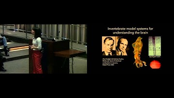 "Taking Action: How Small Brains Make Big Choices,"  Gwyneth Card