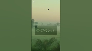 الشيخ محمد صديق المنشاوي (لا اقسم بهذا البلد) #قران_كريم #قرآن #quran #المنشاوي #سورة البلد