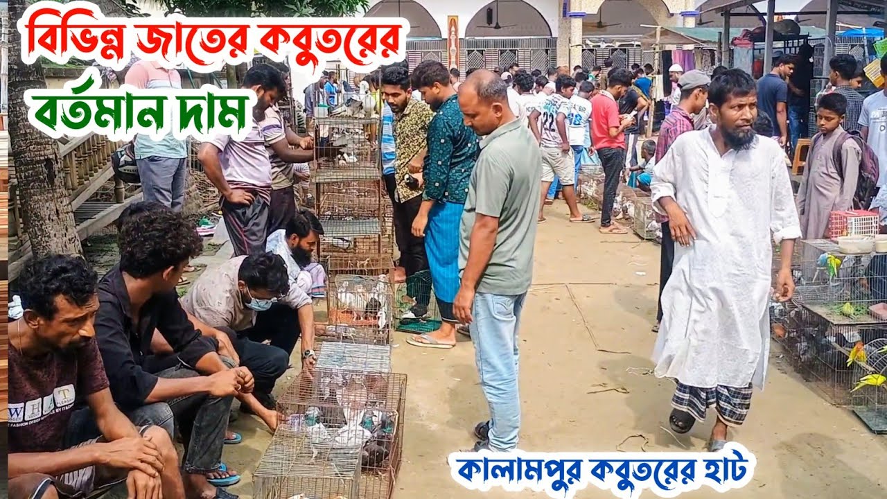 বিখ্যাত কালামপুর হাটে বিভিন্ন জাতের কবুতরের বর্তমান দাম | Pigeon Price 2025