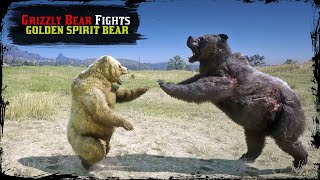 RARE Random Event in Red Dead Redemption 2 ▶️ Grizzly Bear Fights Legendary Golden Spirit Bear