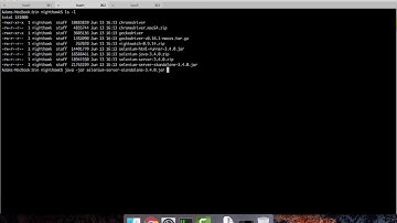 Selenium Server Startup