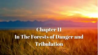 Chapter 11 - Hinds Feet on High Places by Hannah Hurnard, Narration by Pamela Nelson