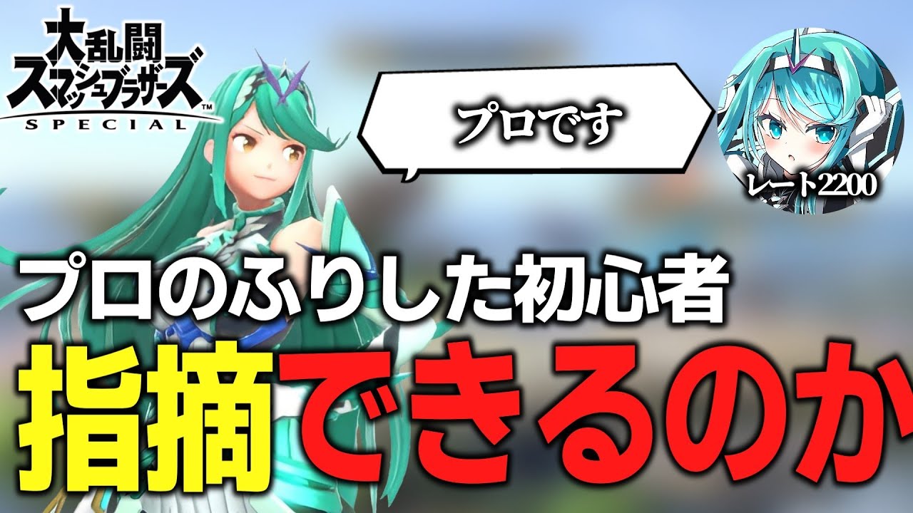 【検証】プロとの対戦、相手が下手くそでも流石に指摘はできない説【スマブラSP】