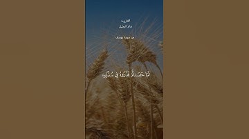 #قران_كريم #ماتيسر من سورة يوسف #خالد_الجليل