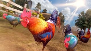 Wild Rooster Run 2017 - Hen Super Fast Funny Run screenshot 1