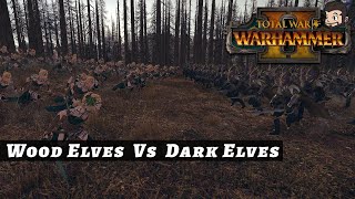 Wood Elves vs Dark Elves - Total War: Warhammer 2 Online Battle #7