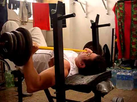 GYM WORKOUTS - GROWING MUSCLES exercise 14.1 class 11