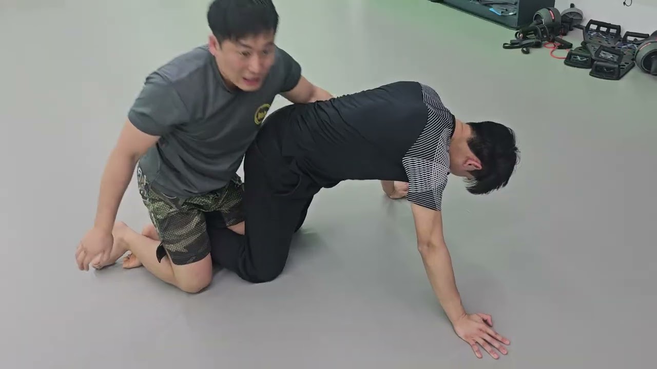 즉석 질문받아서 진행하는 주짓수강의