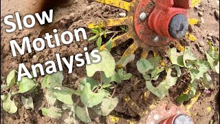 Analysis of slow-motion cultivation footage