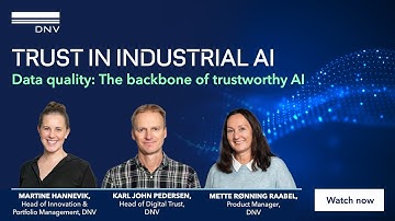 Data quality: The backbone of trustworthy AI