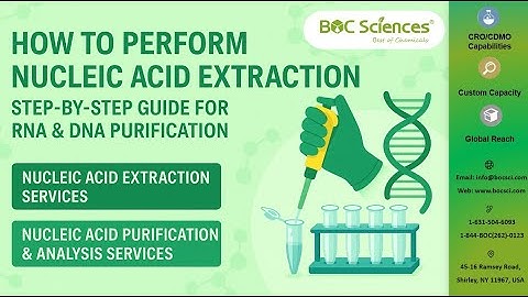 How to Extract Nucleic Acids Step-by-Step (DNA & RNA Purification Guide) — BOC Sciecnes