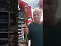 عيد حب