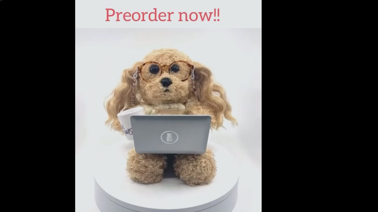 You can buy a noodles the pooch plushie now ( if you want ) - YouTube