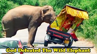 God Defeated The Wild Elephant - elephant attack on a cab carrying an idol of God