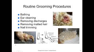 McCurnin's Chapter 8, Preventive Care Programs