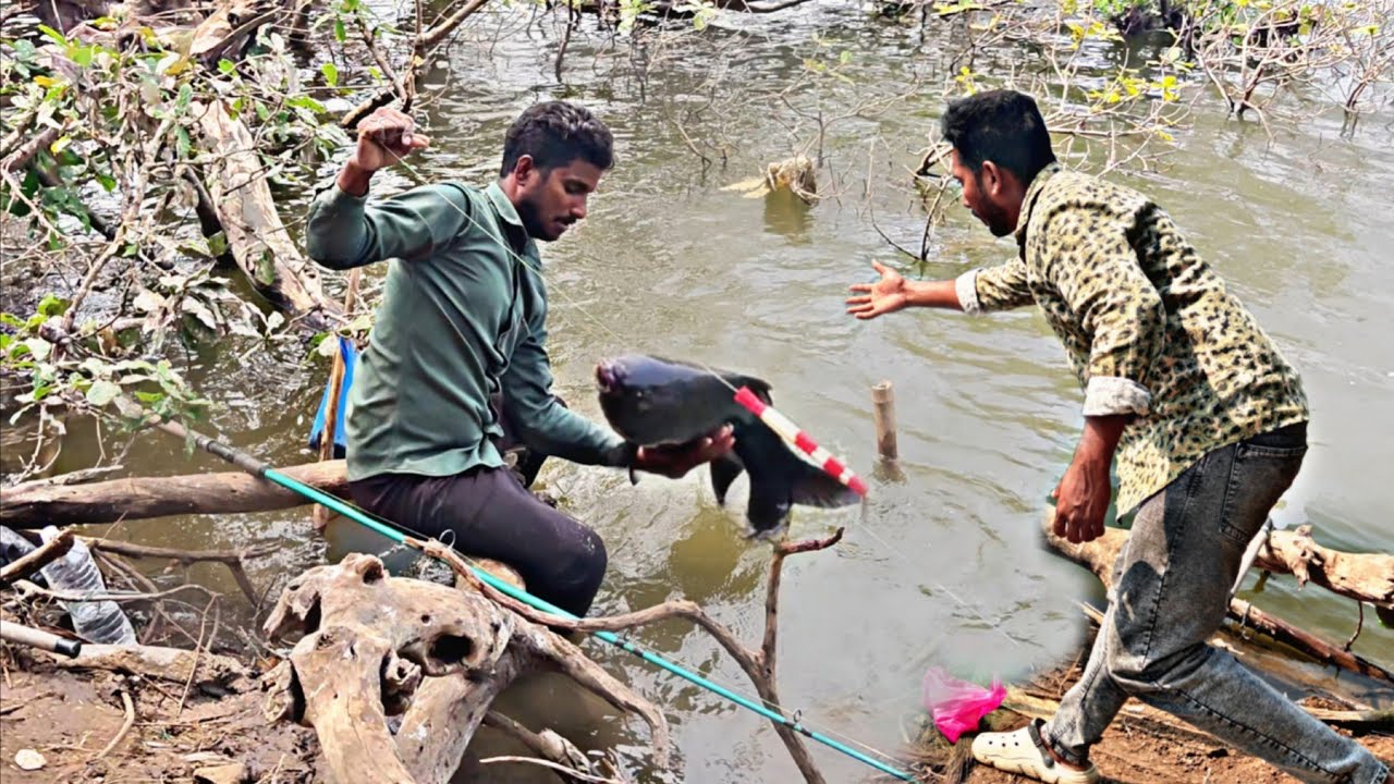 kING SIZE ROHU FISHING || కృష్ణలో ఇంత పెద్ద చేప పట్టినం  big rohu fishing😱