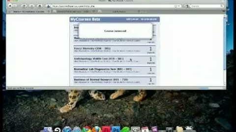2 hours of coding in 5 minutes - Timelapse