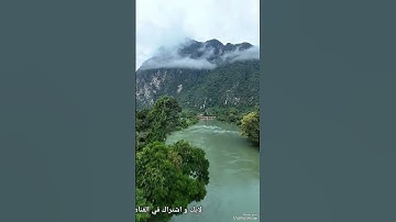 القارئ سعد الغامدي سورة الجن