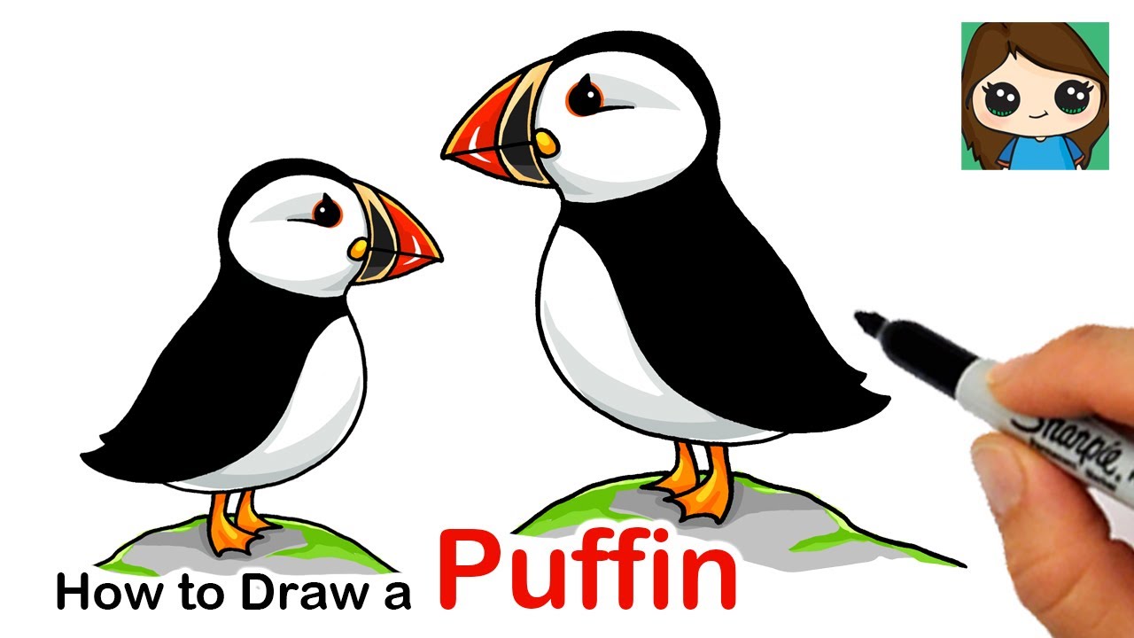 Premium Vector  Vector hand drawn doodle sketch puffin bird