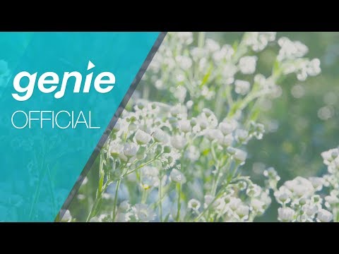히피는 집시였다 Hippy was Gipsy - 지네 Fall (with 김오키 Kim Oki) Official M/V