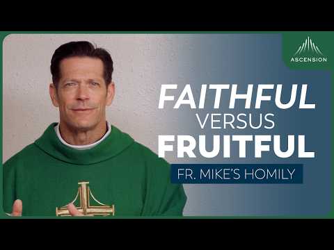 "Fruitful and Faithful" | 17th Sunday in Ordinary Time (Fr. Mike's Homily) #sundayhomily