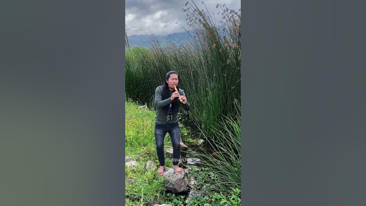 ÑAUPA LLACTA 🇪🇨 (YUYASHPA) - SAN JUANITO ECUATORIANO #atipakchristian #musicaandina #quena