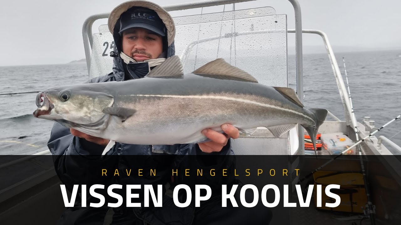 KOOLVIS vangen in Noorwegen, hoe moet dat eigenlijk? Noorwegen | Raven Hengelsport
