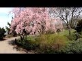 ⁴ᴷ⁶⁰ Walking NYC : Fort Tryon Park, The Cloisters, Fort Washington Avenue & Broadway