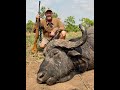 UGANDA 2020  Nile Buffalo and Plainsgame hunt PART 02