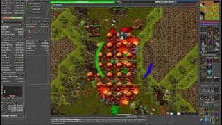Tibia ED 705 - Warzone 1 WZ - 5kk Raw Peak 5.7kk - 900k/h profit