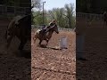 #nsca #omoksee #horse #rodeo #horseshow #western #westernriding #aqha #youtubeshorts #subscribe