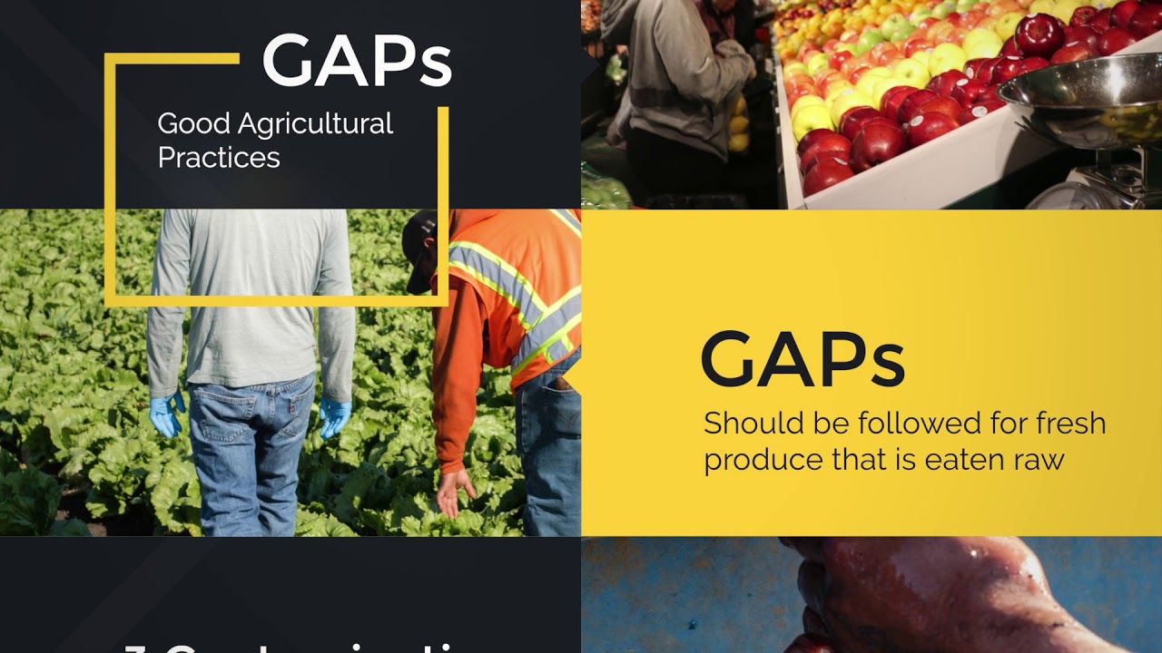 AgSafe Food Safety Video Series GAPs YouTube