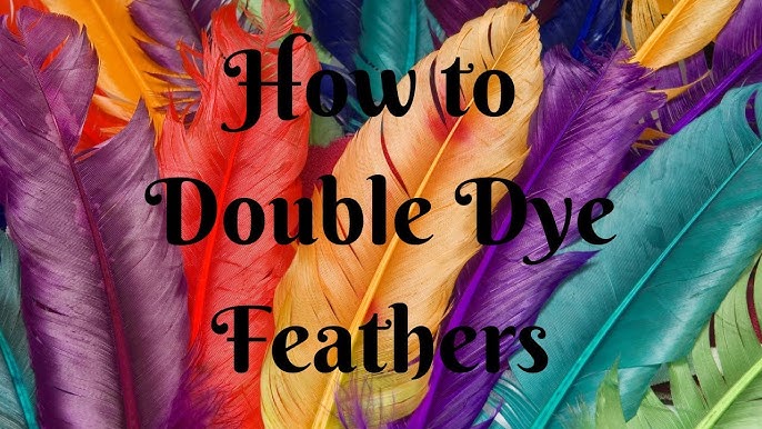 Heron Feathers | Quality Dyed Feathers | Large Feathers