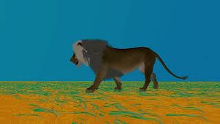 Lion walking cycle animation demonstration