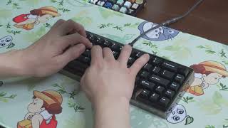 Famous Hiro SE Prototype with lubed Cherry MX Blacks Typing Sounds Wealth
