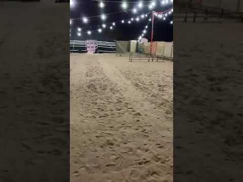 مخيم سوالف1441