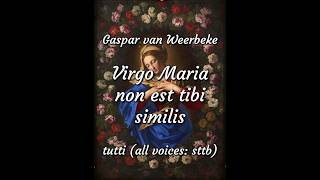 Virgo Maria non est tibi similis, Gaspar van Weerbeke, tutti (all voices: sttb), rehearsal track