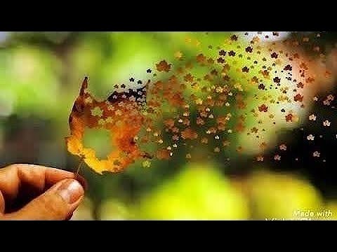Tere Ishq Mein Pagal Ho Gaya ((( Jhankar ))) HD, Humko Tumse Pyaar Hai | Alka Yagnik, Udit Narayan