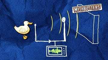 Does a Duck’s Quack Echo? | MythBusters