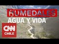 Humedales: La importancia de su conservación como fuente de agua y vida en Chile
