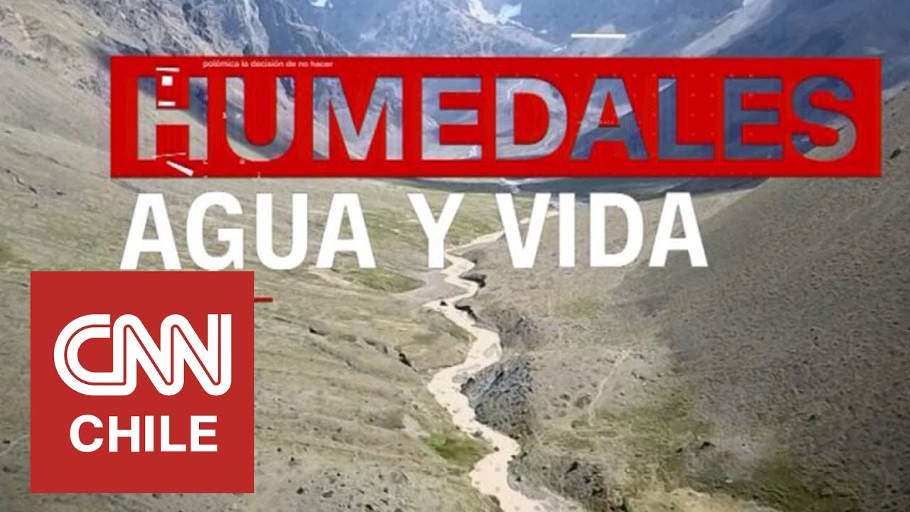 Humedales: La importancia de su conservación como fuente de agua y vida en Chile