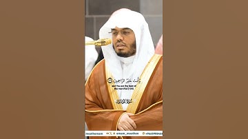 قال اخسئوا فيها ولا تكلمون_سورة المؤمنون_صلاة العشاء21 ربيع الآخر 1446هـ_الشيخ ياسر الدوسري